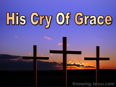 His Cry Of Grace (devotional)01-07 (gold)